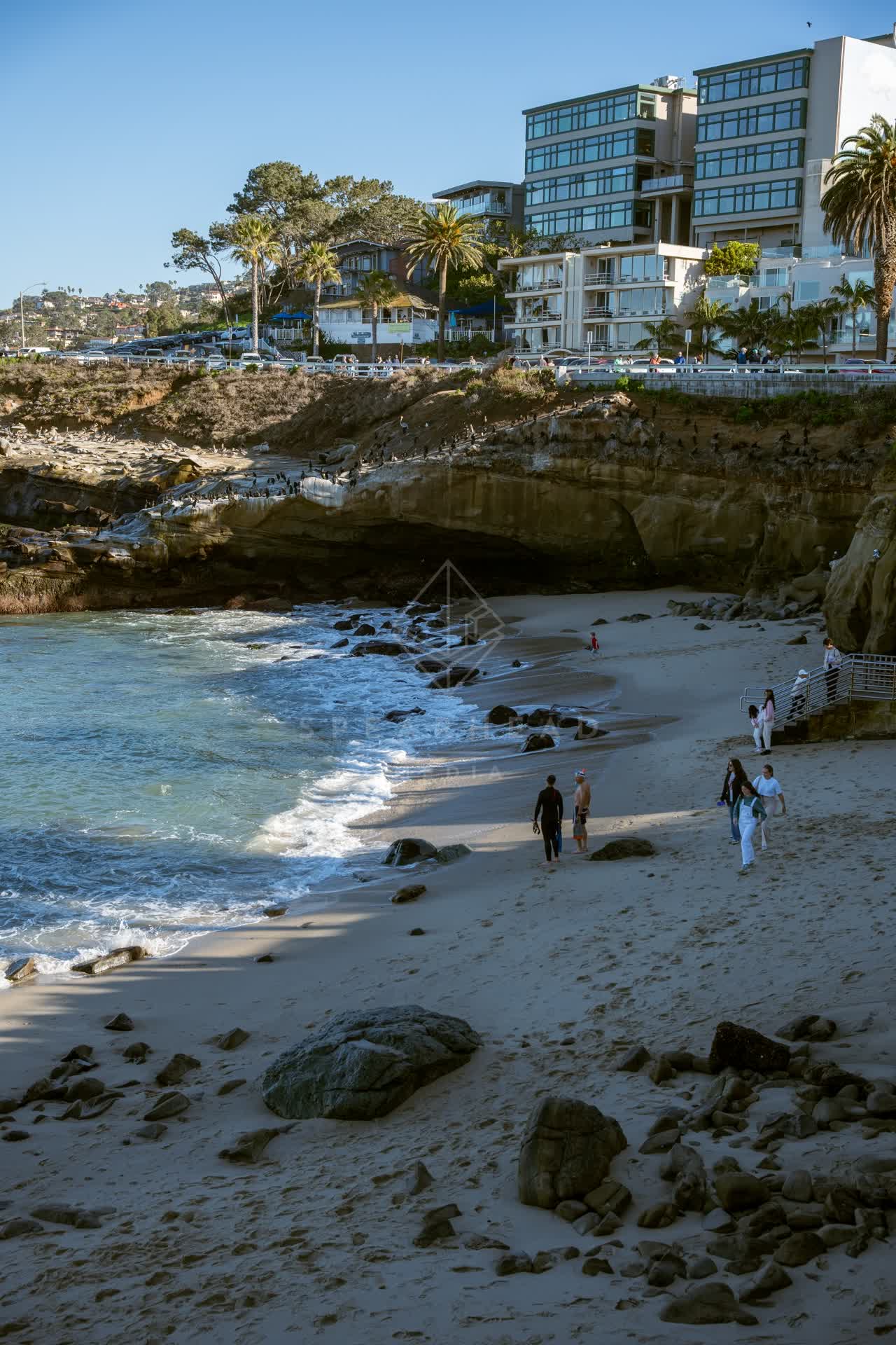 Elevated view of the beach, the surf and wildlife at La Jolla Cove, with people walking.