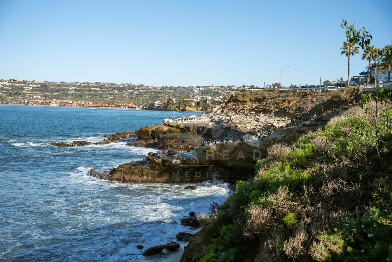 Elevated view of the cliffs, the surf and wildlife at La Jolla Cove.