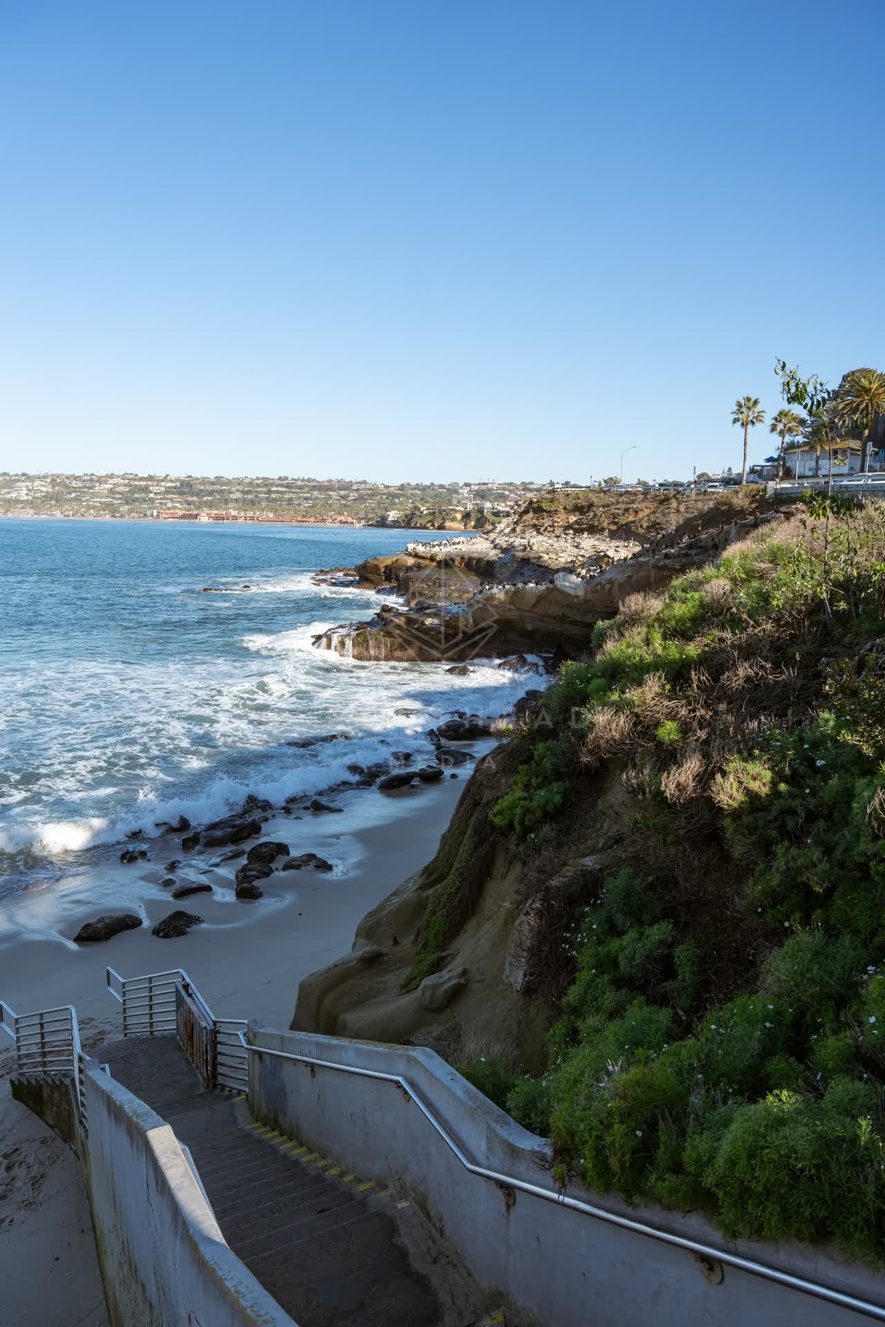 Elevated view of the cliffs, the surf and palm trees at La Jolla Cove.