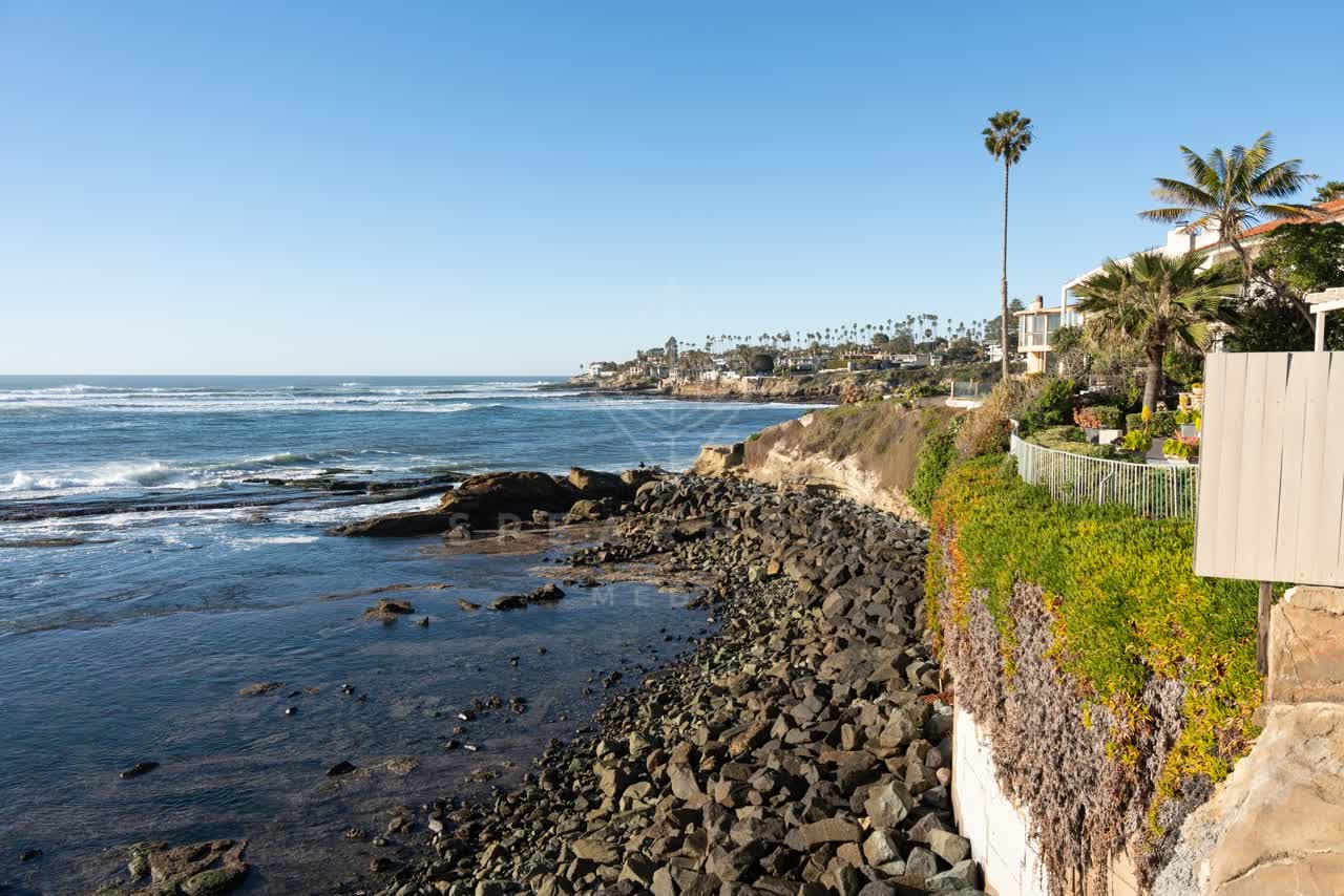Elevated view of the cliffs, the surf and palm trees at Bird Rock.