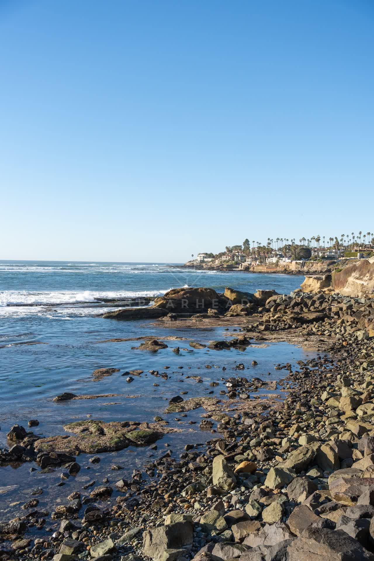 The cliffs, palm trees and the ocean at Bird Rock.