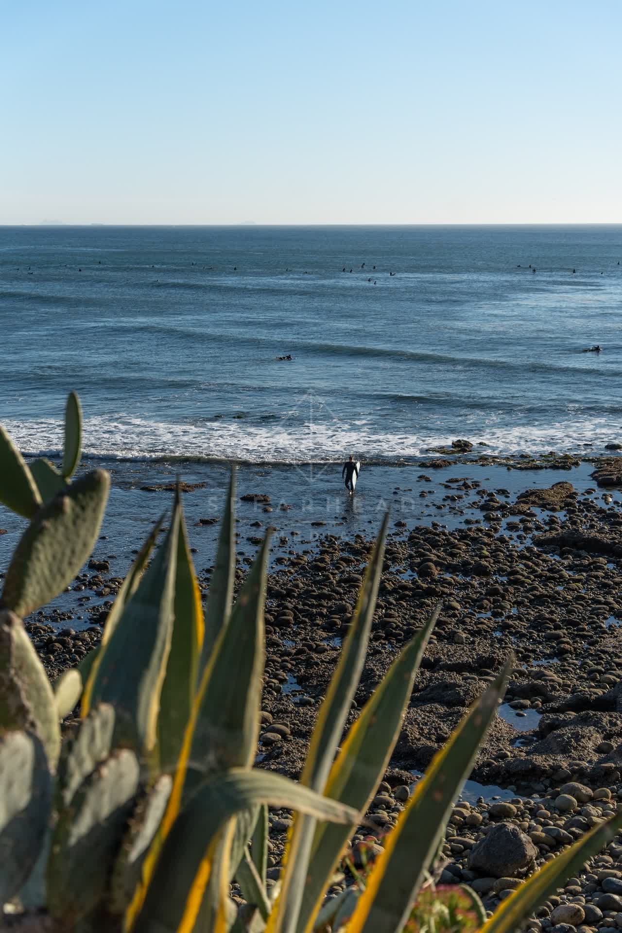Elevated view of the cliffs, the surf and the ocean at Bird Rock, with surfers out.