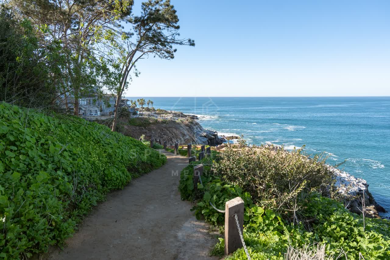Elevated view of the cliffs, palm trees and the ocean at Coast Walk Trail.