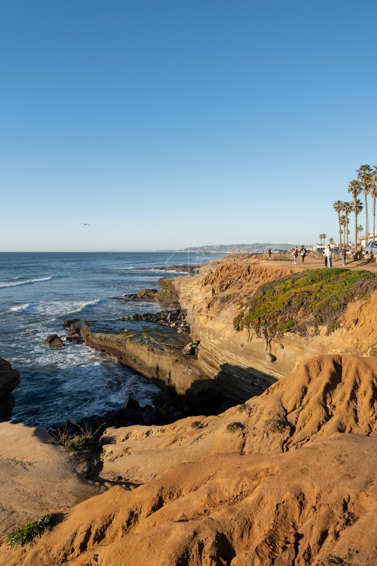 Elevated view of the cliffs, the surf and palm trees at Sunset Cliffs, with people walking.