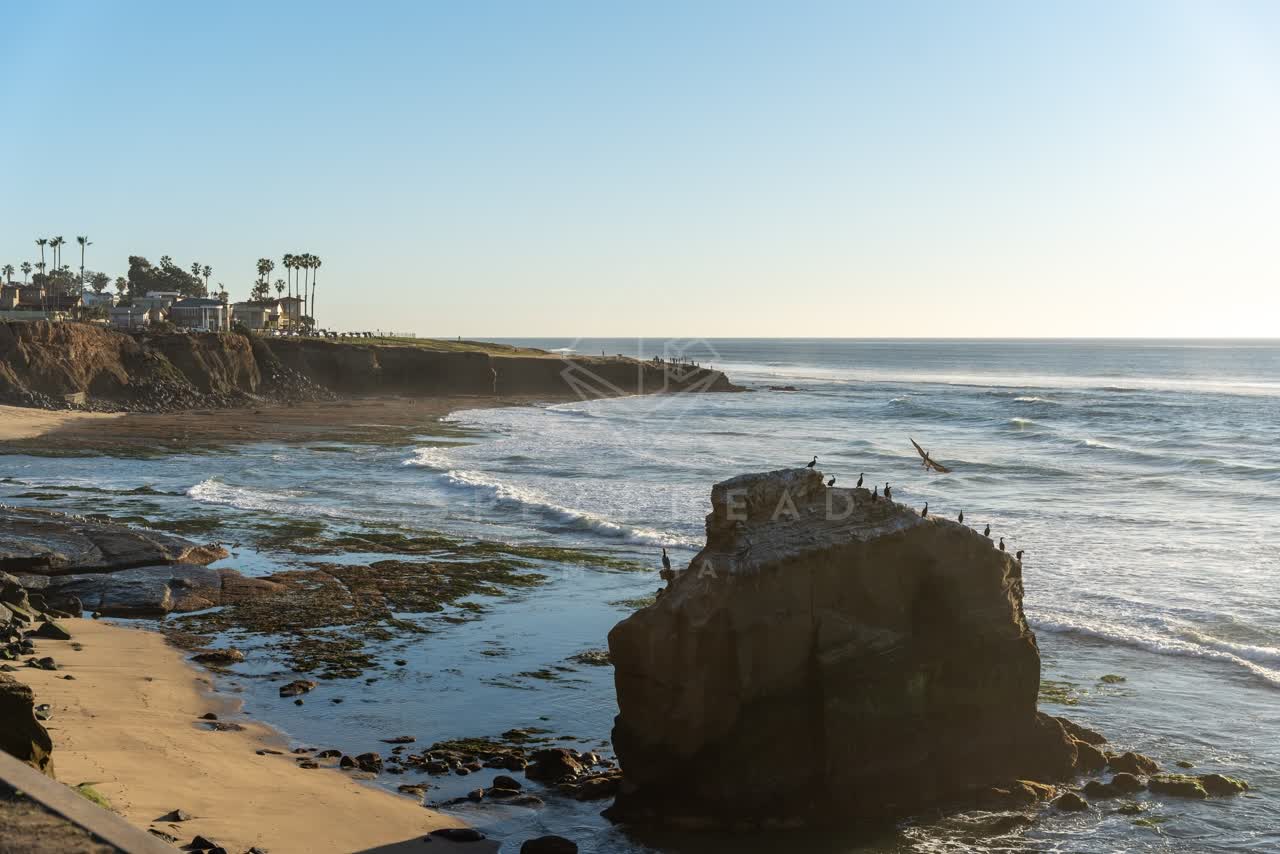 Elevated view of the cliffs, the surf and wildlife at Sunset Cliffs.