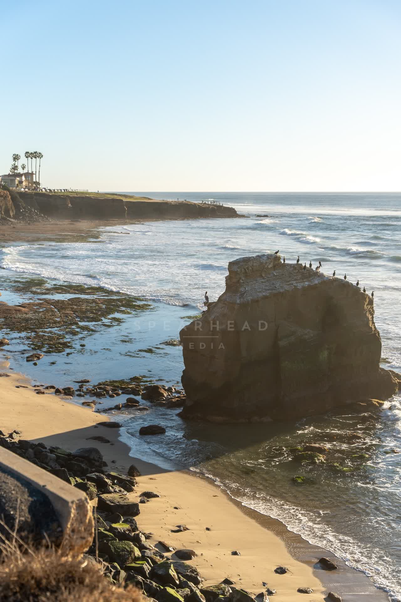 Elevated view of the cliffs, the surf and wildlife at Sunset Cliffs.