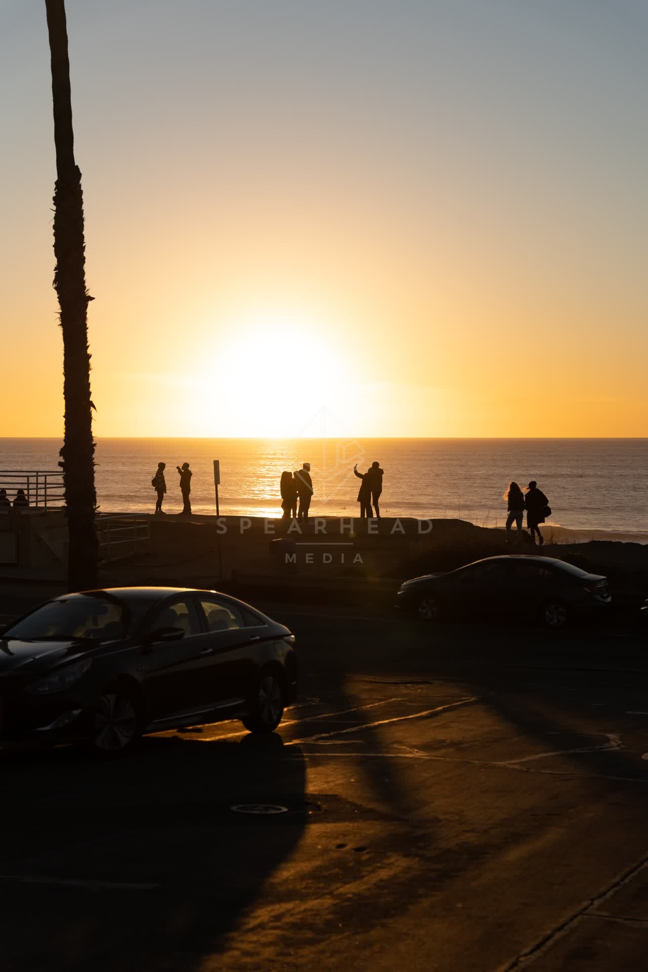 Elevated view of the cliffs, palm trees and the ocean at Sunset Cliffs, with a crowd gathered.