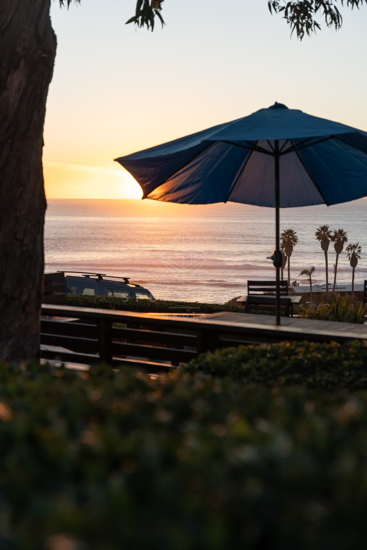 Elevated view of the cliffs, palm trees and the ocean at Sunset Cliffs.