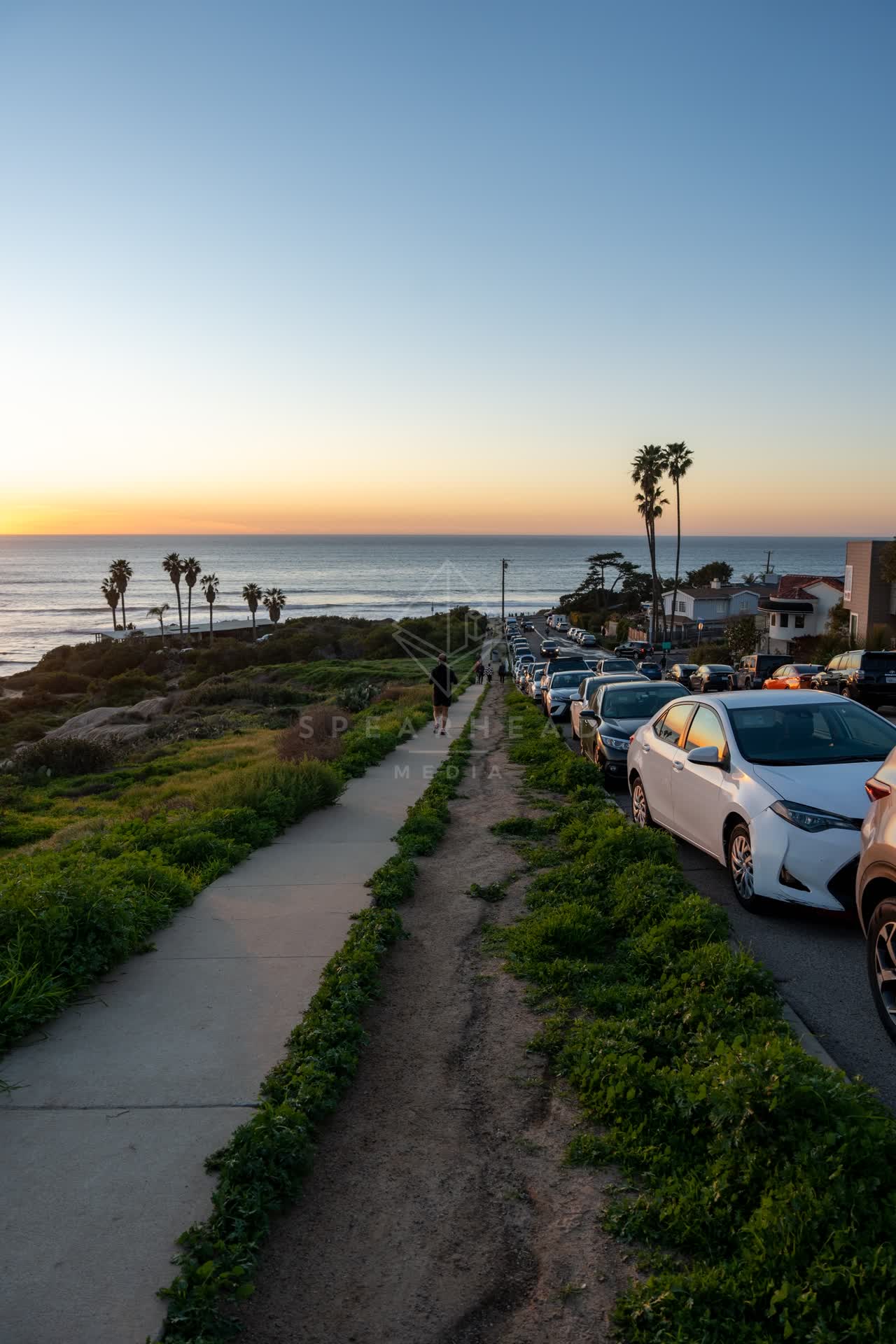 Elevated view of the cliffs, palm trees and the ocean at Sunset Cliffs, with people walking.