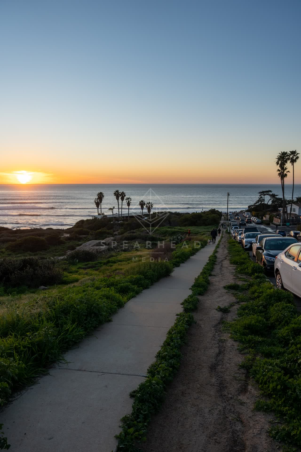 Elevated view of the cliffs, palm trees and the ocean at Sunset Cliffs, with people walking.