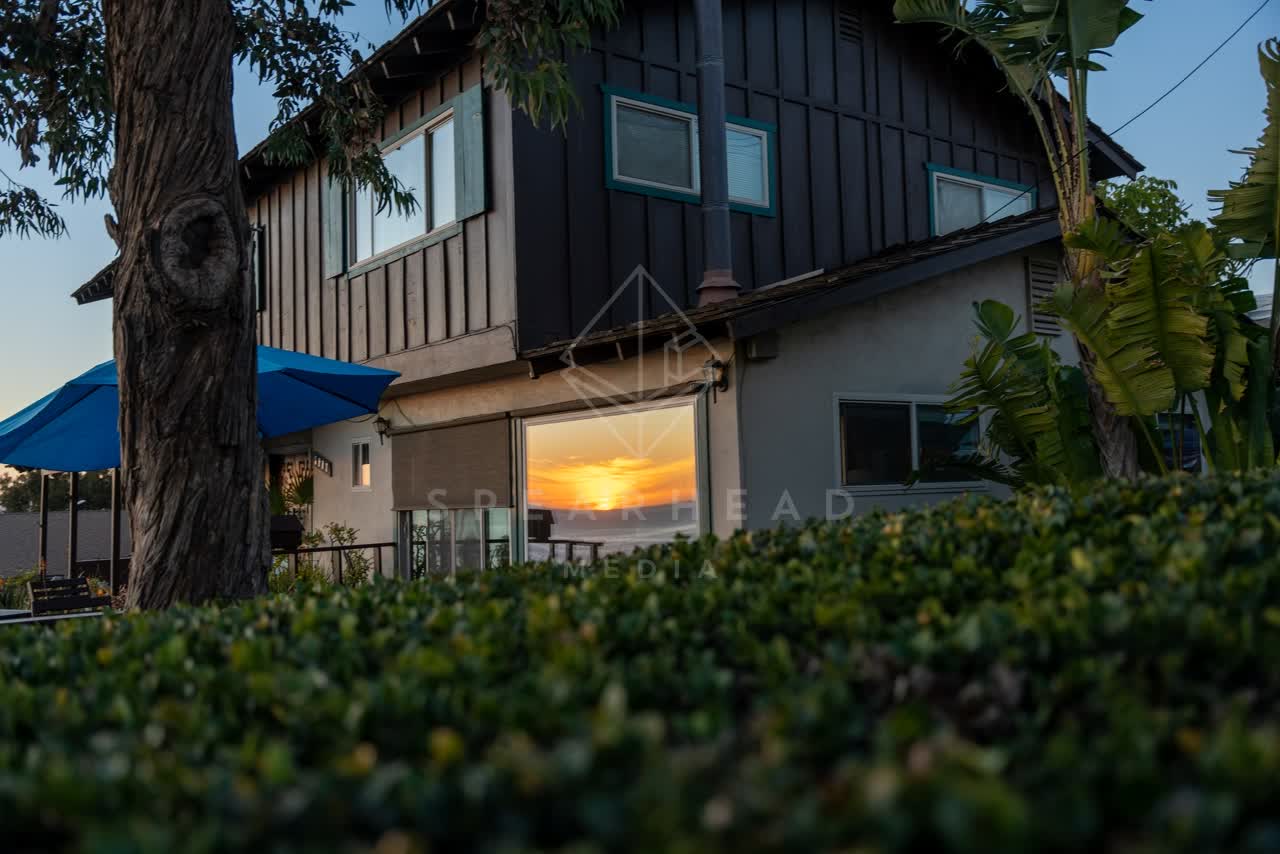 A residential street, palm trees and homes at Sunset Cliffs.