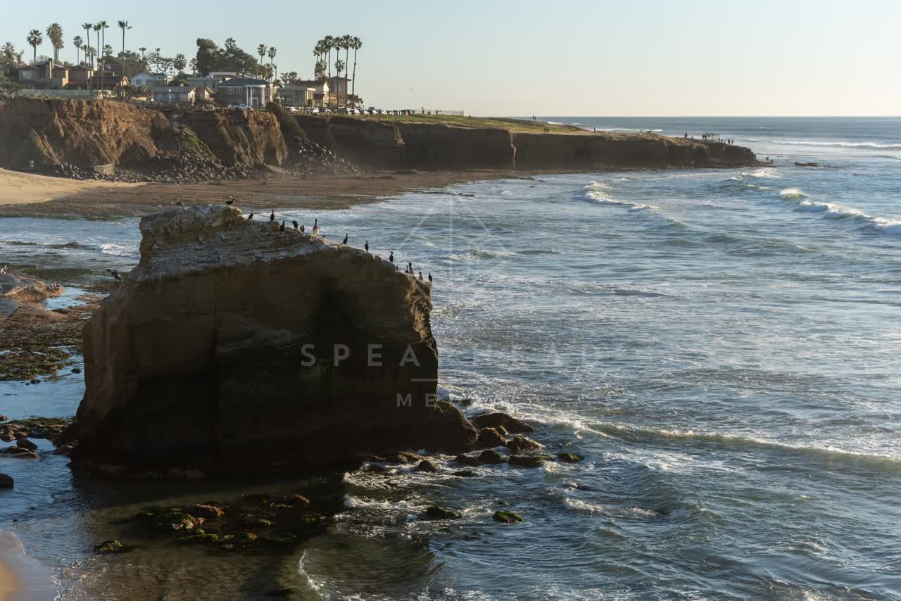 Elevated view of the cliffs, the surf and wildlife at Sunset Cliffs.