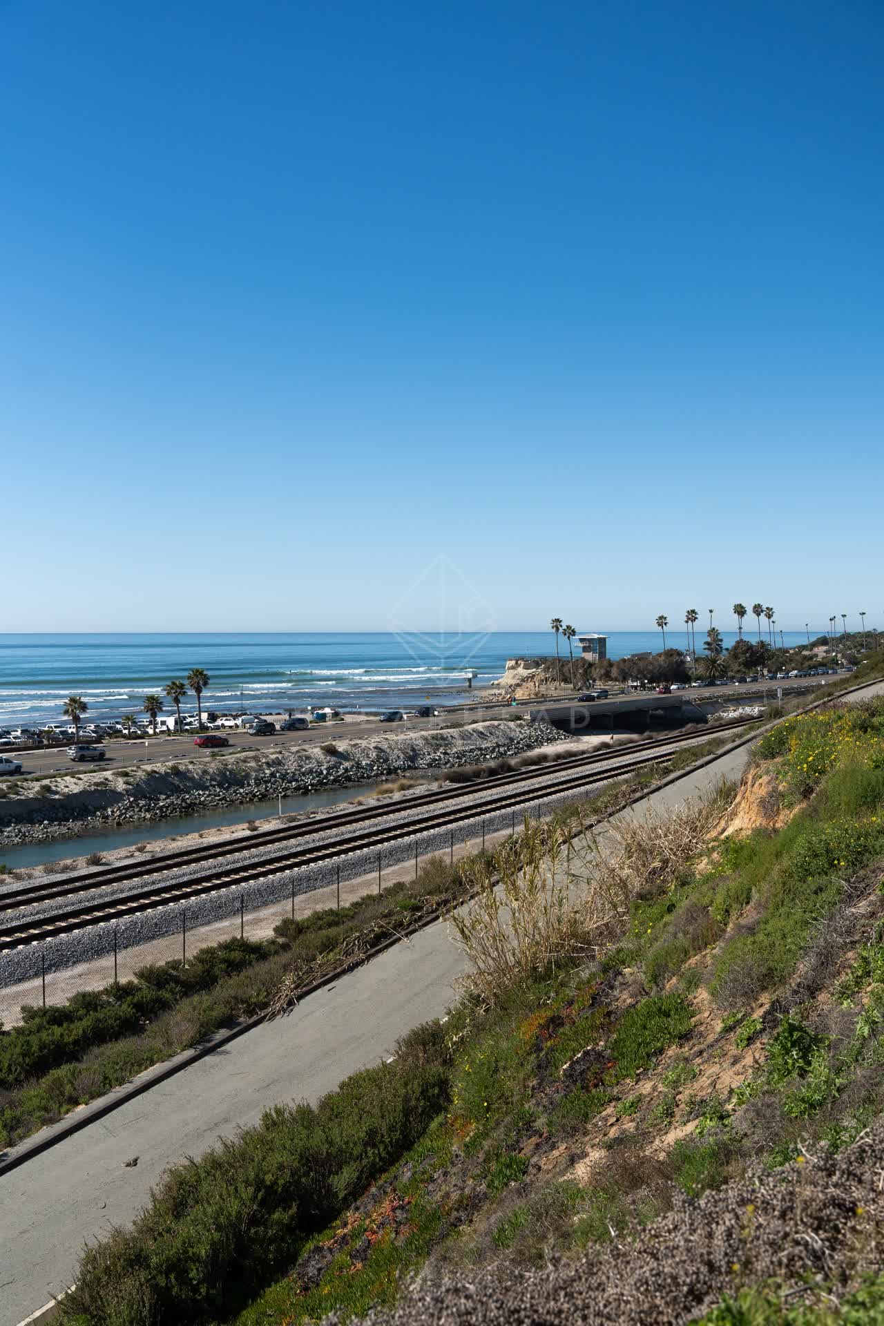 Elevated view of the beach, the surf and palm trees in Cardiff.