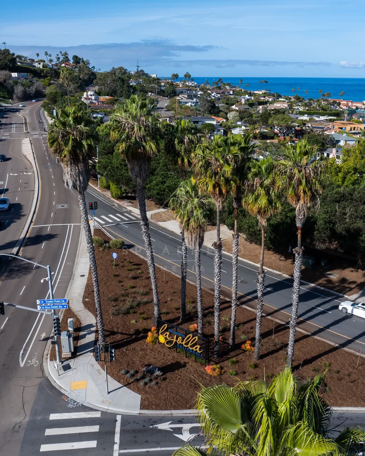 Aerial view of a residential street, palm trees and the ocean in La Jolla.