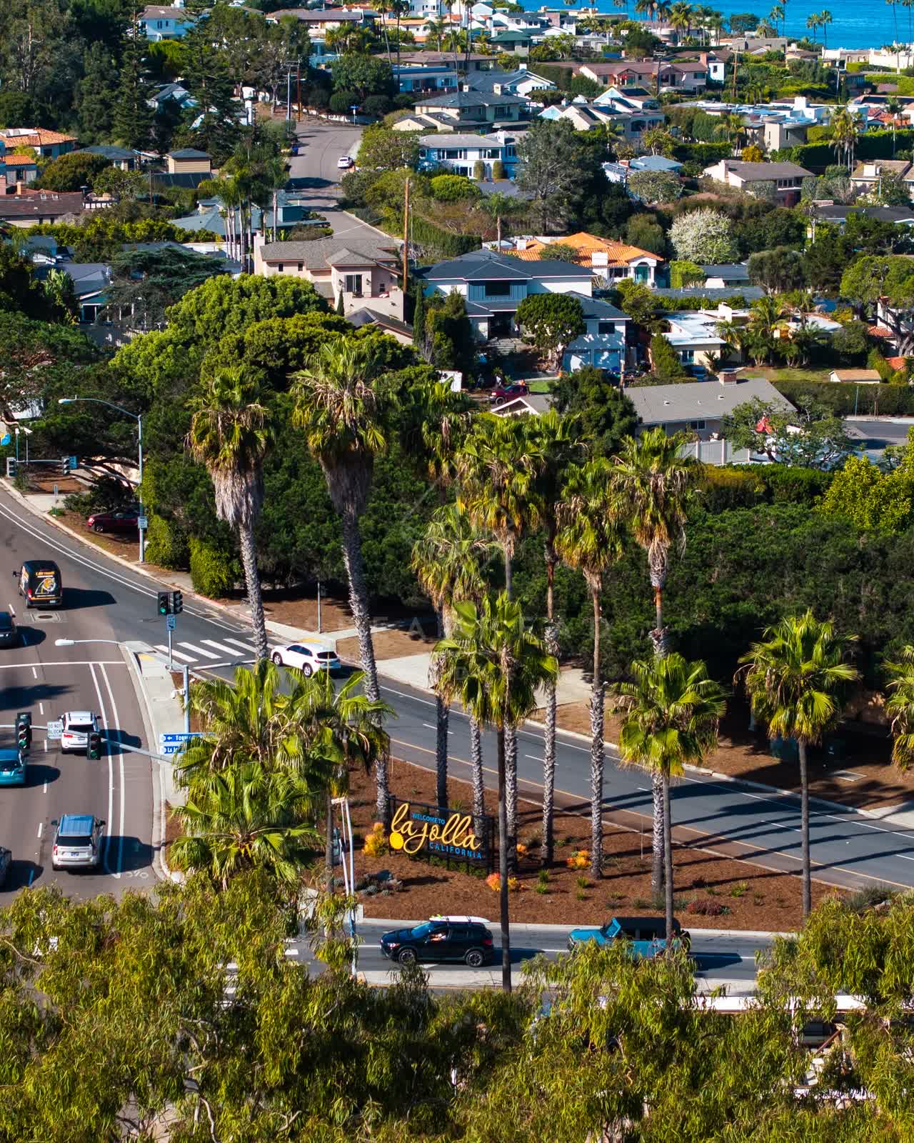 Aerial view of a residential street, palm trees and the ocean in La Jolla.