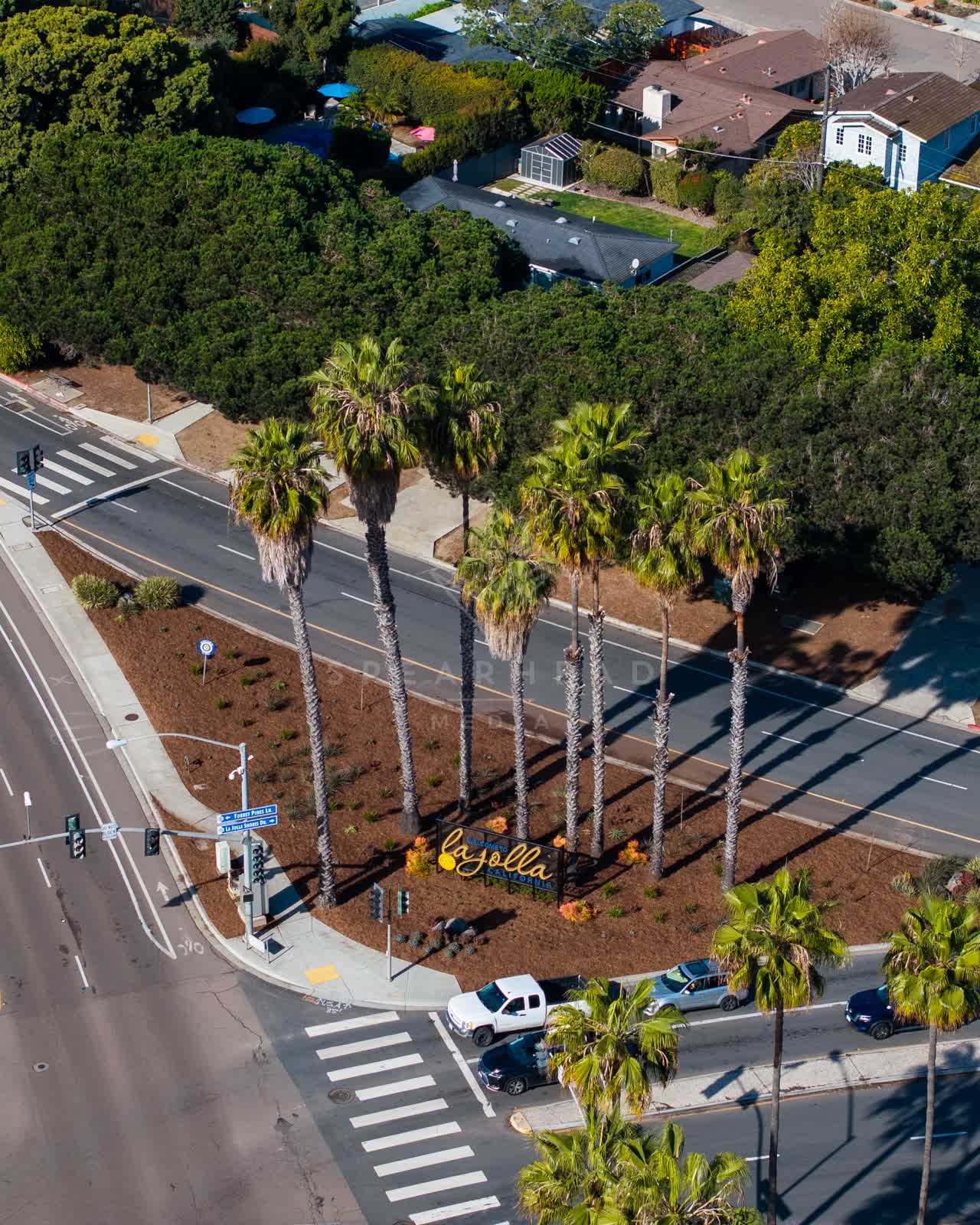 Aerial view of a residential street, palm trees and homes in La Jolla.