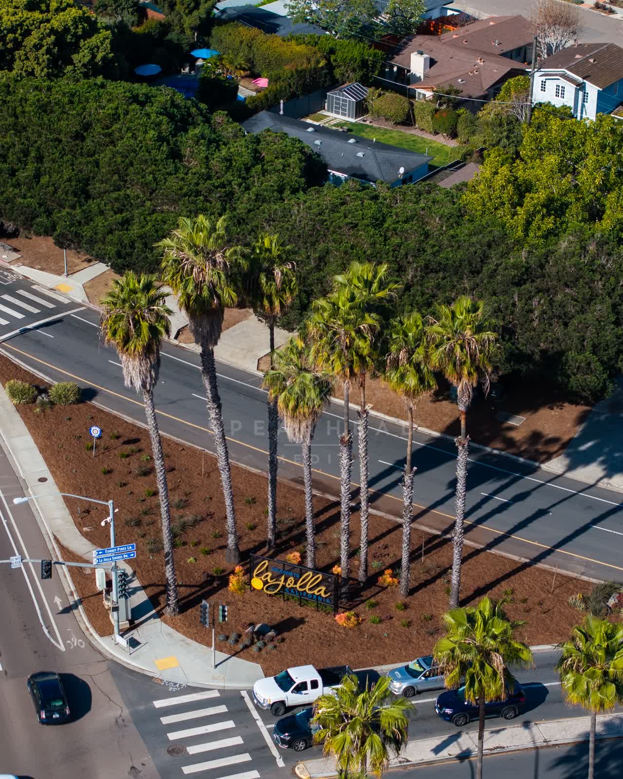Aerial view of a residential street, palm trees and homes in La Jolla.