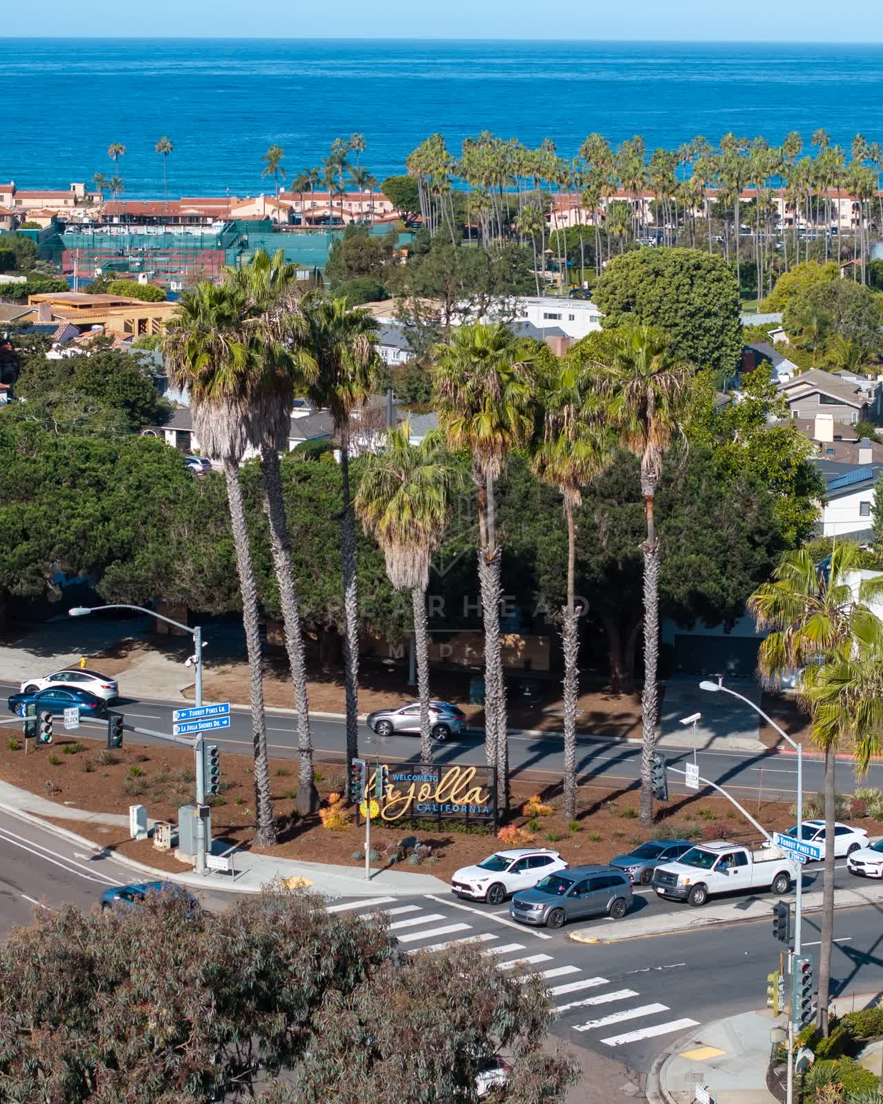 Aerial view of a residential street, palm trees and the ocean in La Jolla.