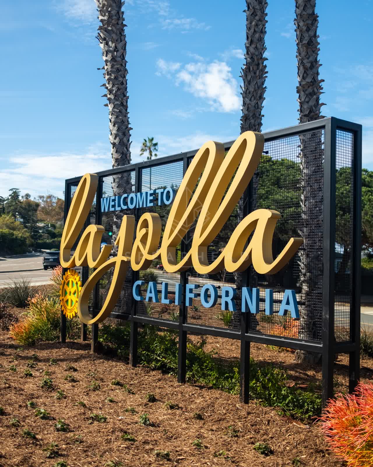 A residential street, palm trees and open country in La Jolla.