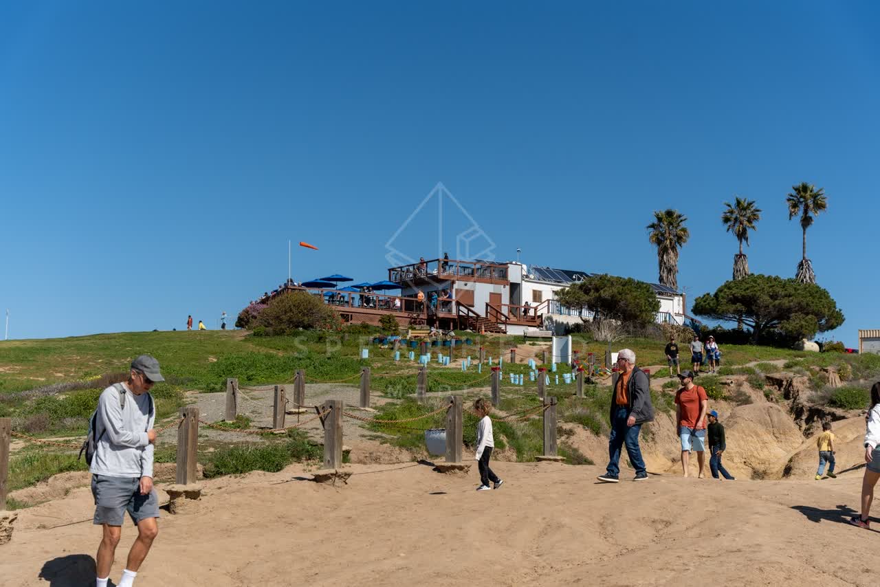 The cliffs, palm trees and the buildings at Torrey Pines, with people walking.