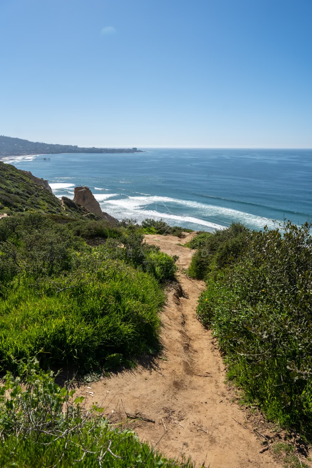 Elevated view of the cliffs, the surf and the ocean at Torrey Pines.