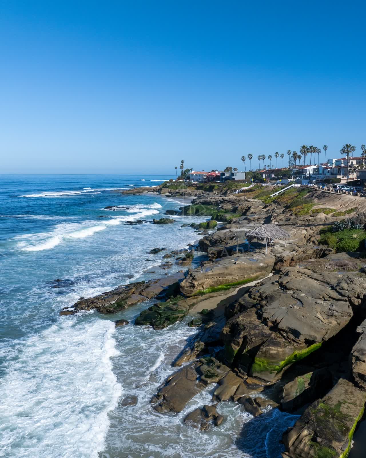 Aerial view of the cliffs, the surf and palm trees at Windansea.