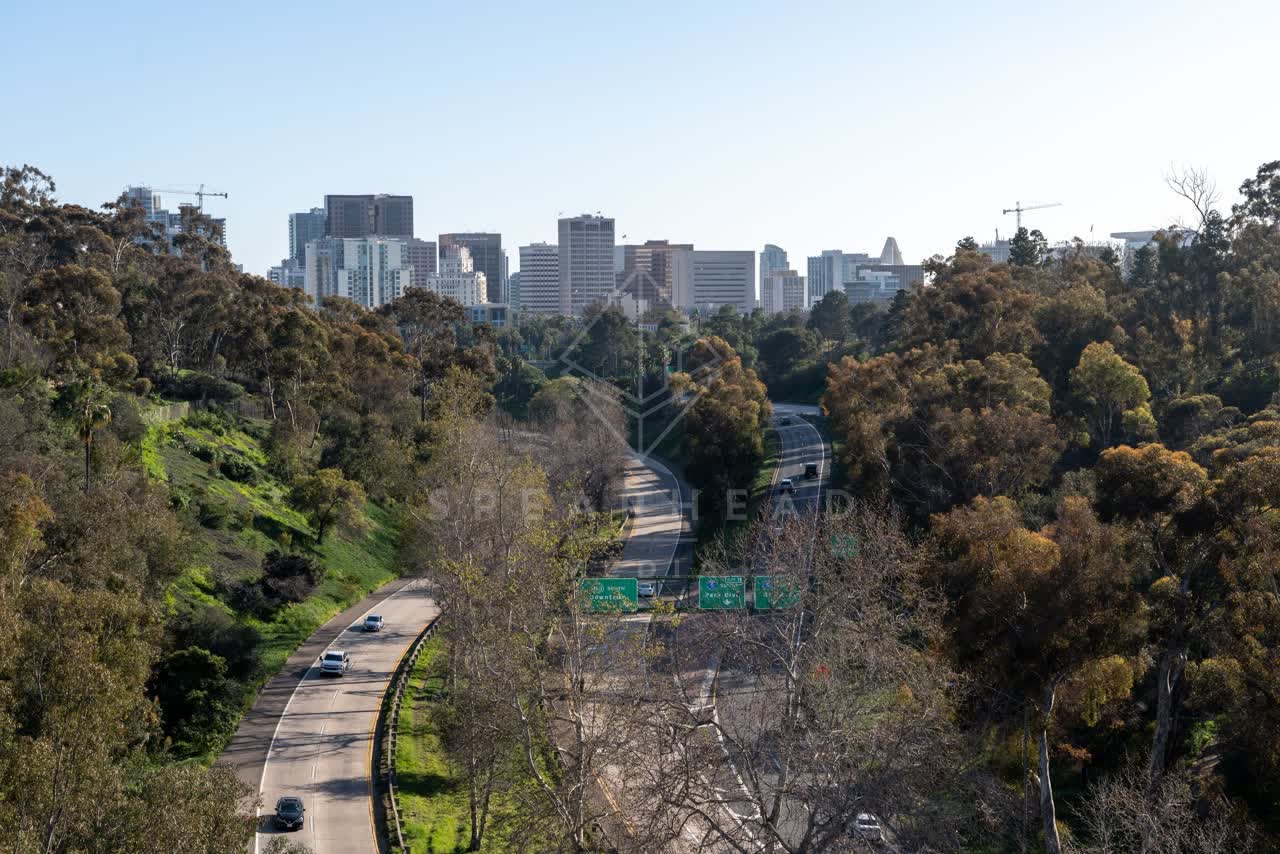 Elevated view of a park, the skyline and the buildings in Balboa Park.