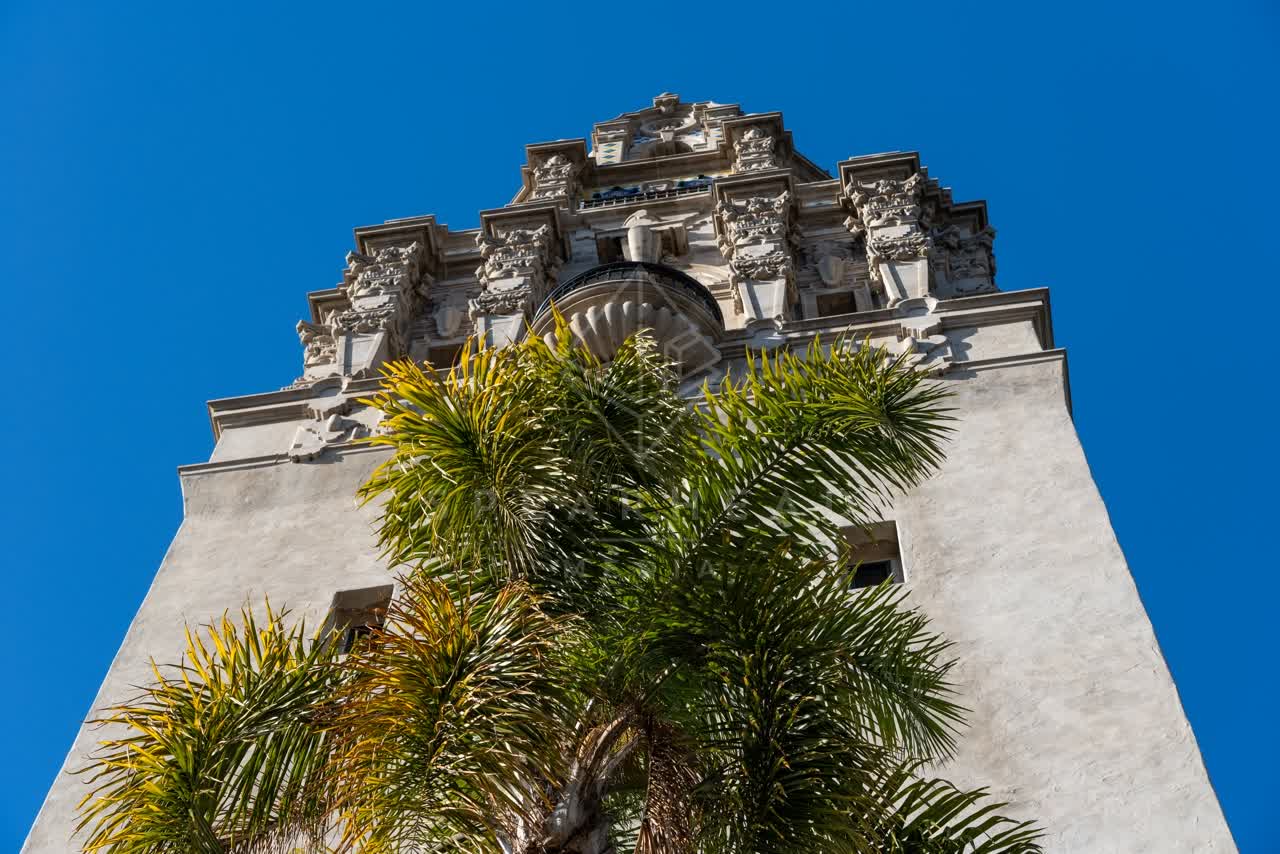 A park, palm trees and the buildings in Balboa Park.