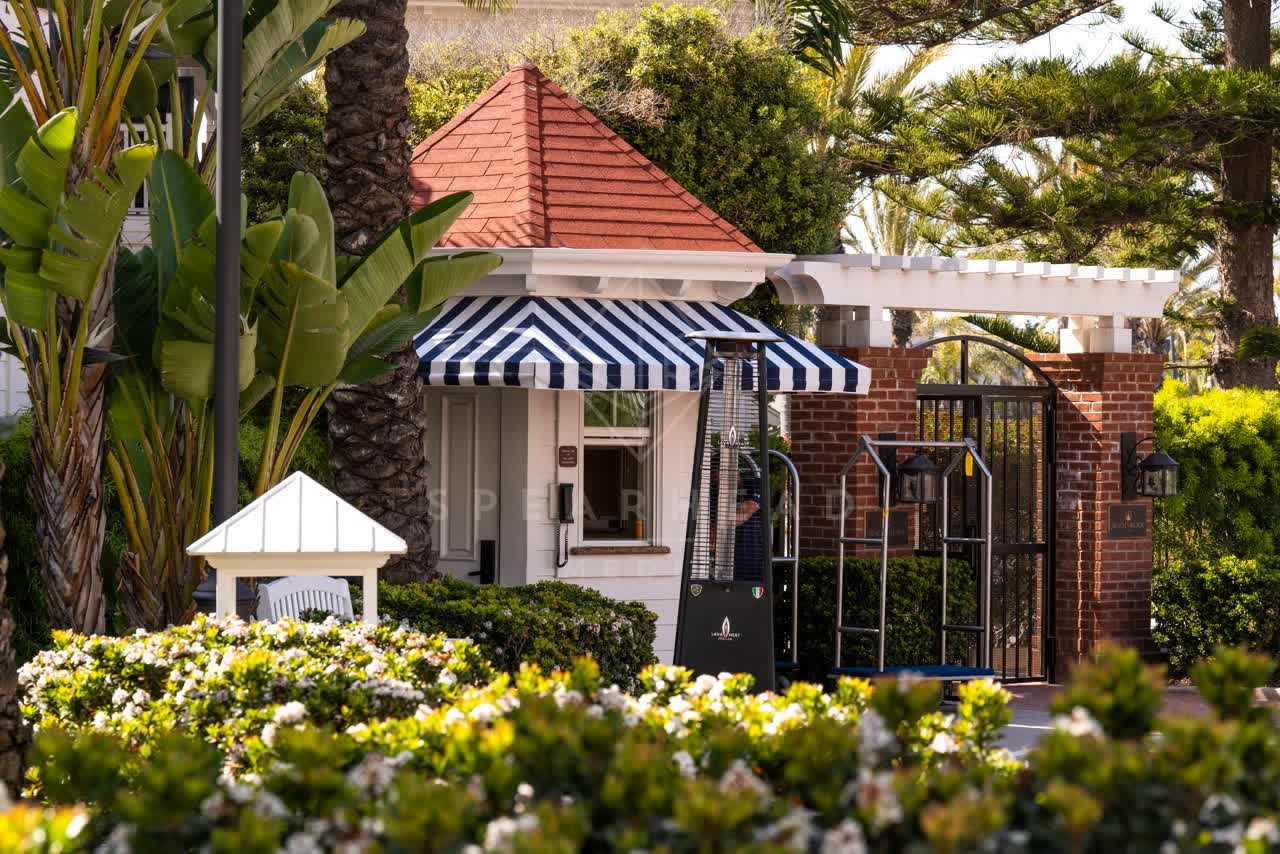 A residential street, palm trees and the buildings at Coronado Beach.