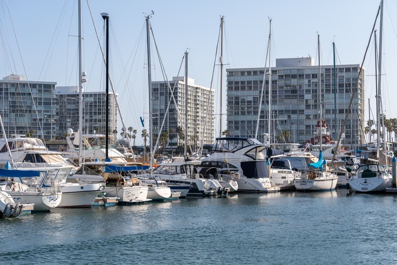 View from the water of the harbor, boats and palm trees at Glorietta Bay.