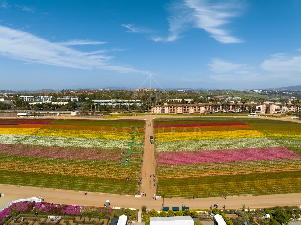 Aerial view of the country inland, homes and the buildings at Flower Fields, with people walking.