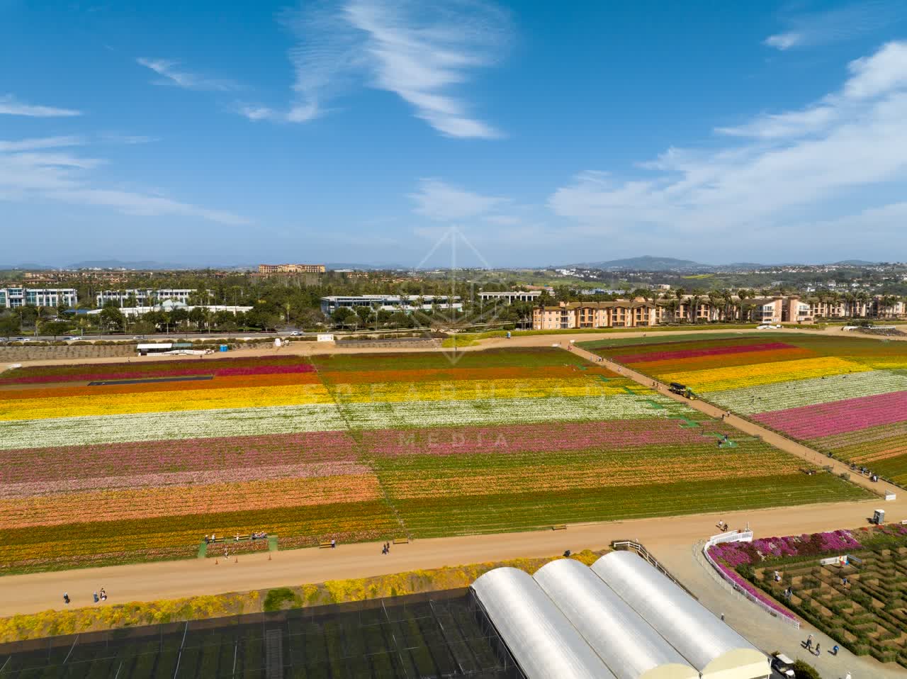 Aerial view of the country inland, homes and the buildings at Flower Fields, with people walking.