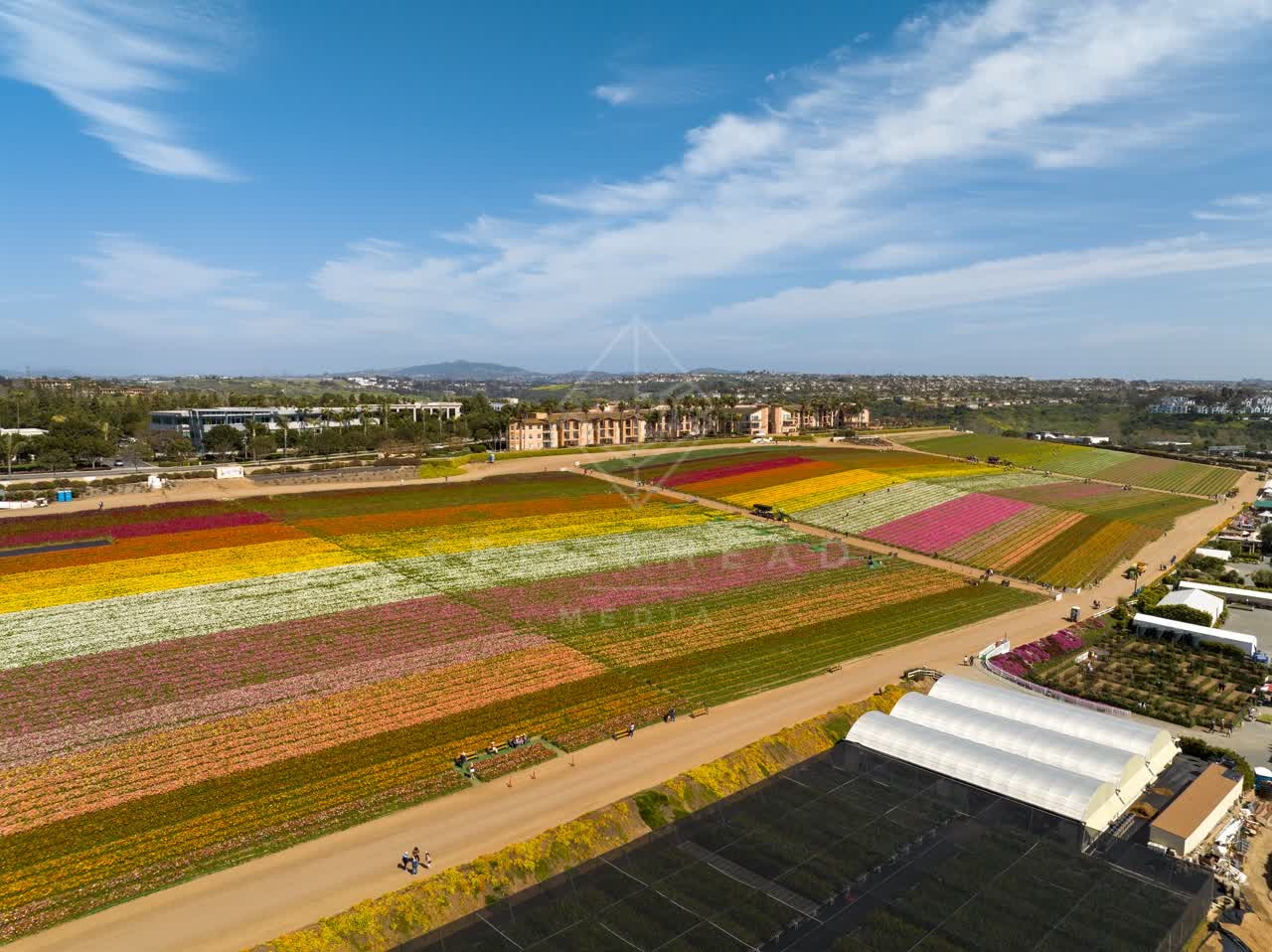 Aerial view of the country inland and open country at Flower Fields, with people walking.