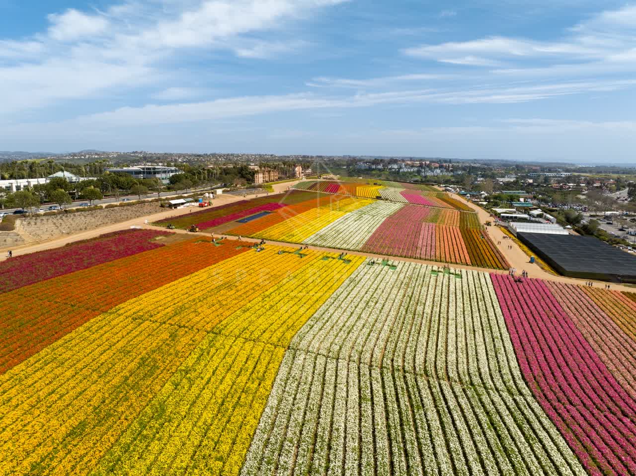 Aerial view of the country inland and open country at Flower Fields, with people walking.