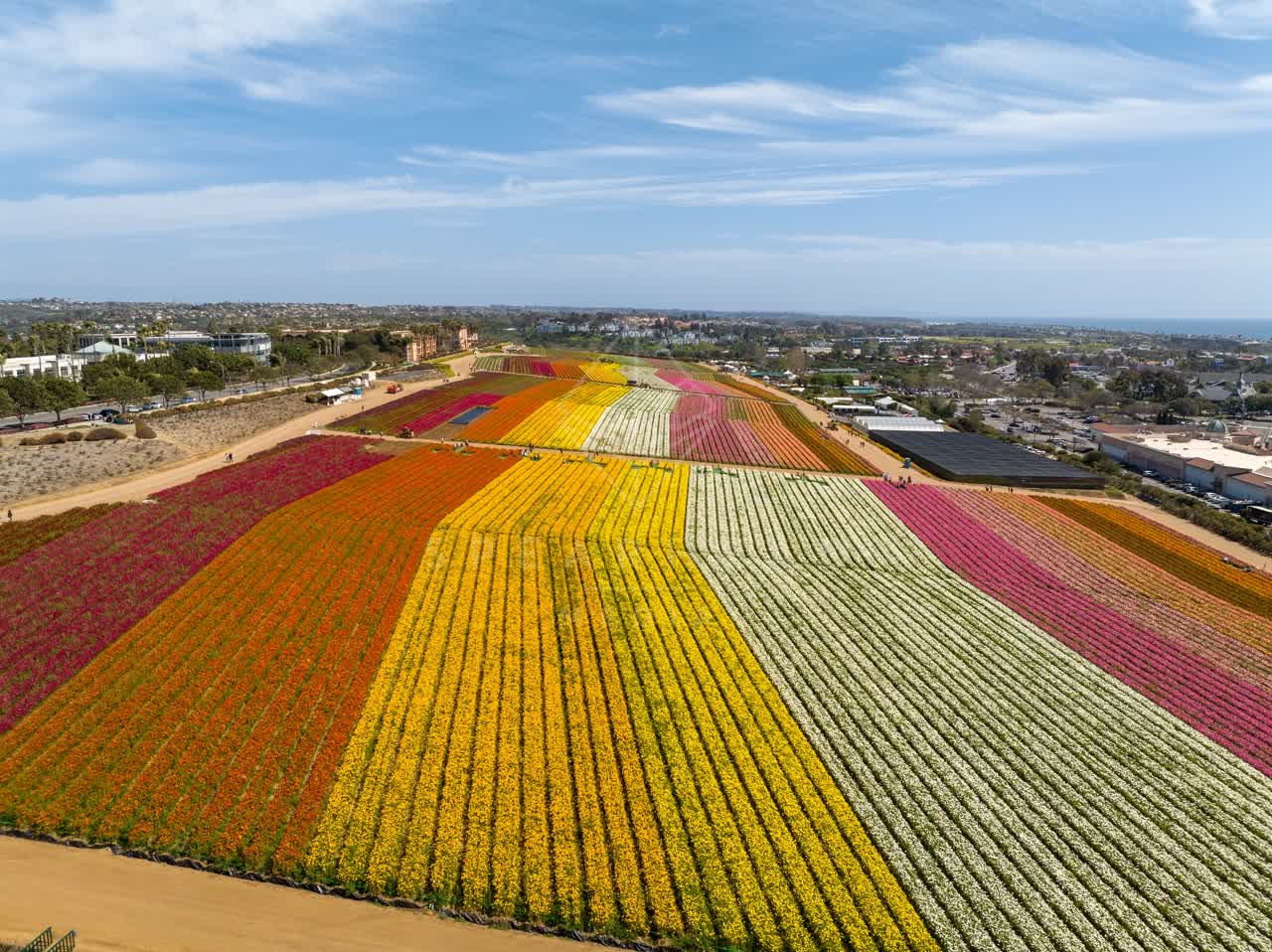 Aerial view of the country inland, homes and the city at Flower Fields, with a work crew on site.