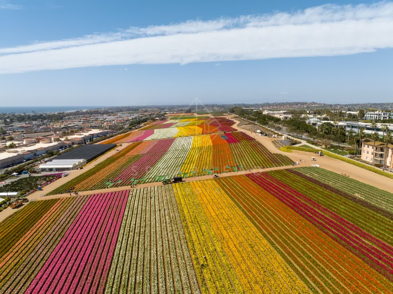 Aerial view of the country inland, homes and traffic at Flower Fields, with a work crew on site.