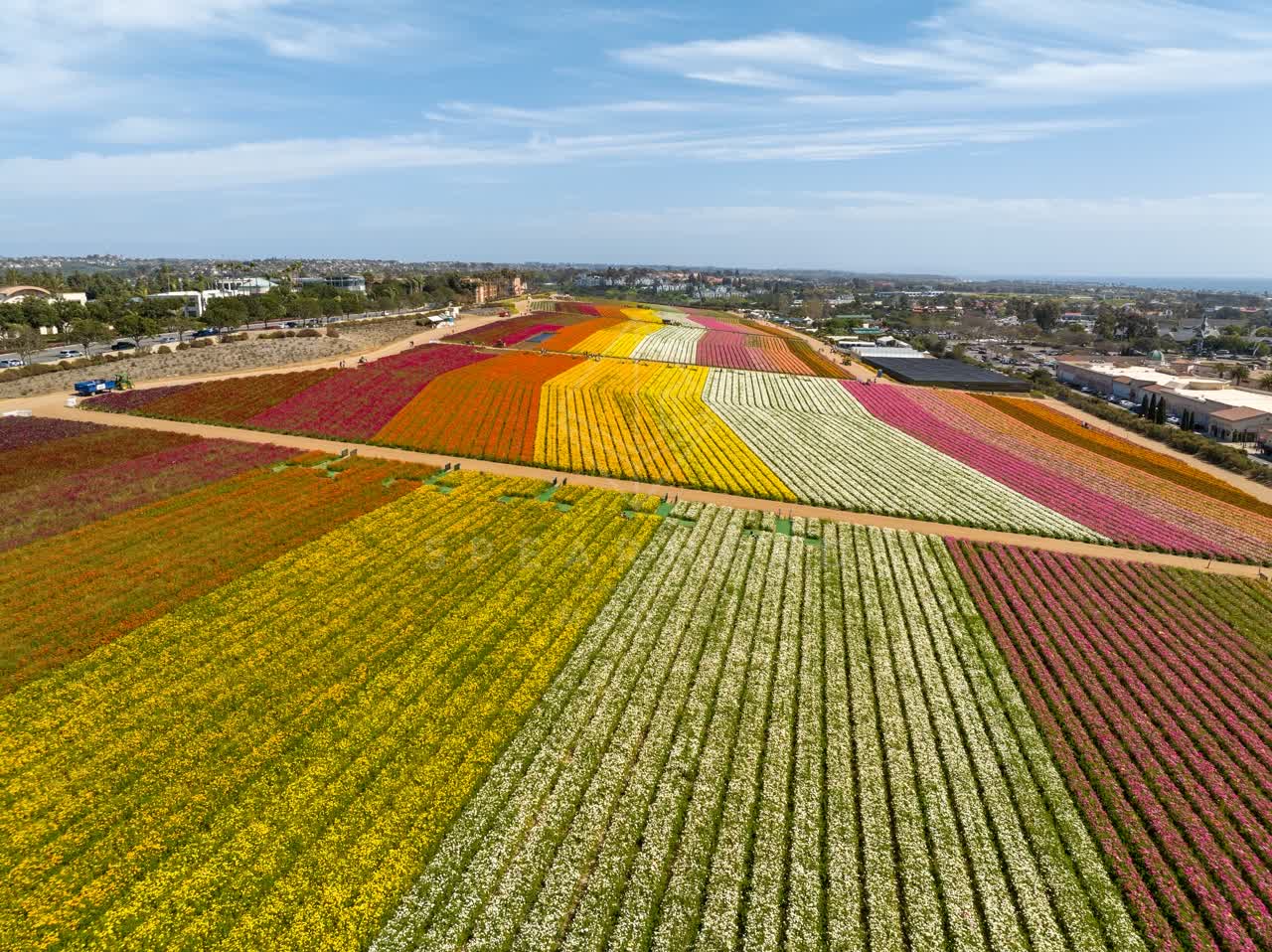Aerial view of the country inland, traffic and open country at Flower Fields, with people walking.