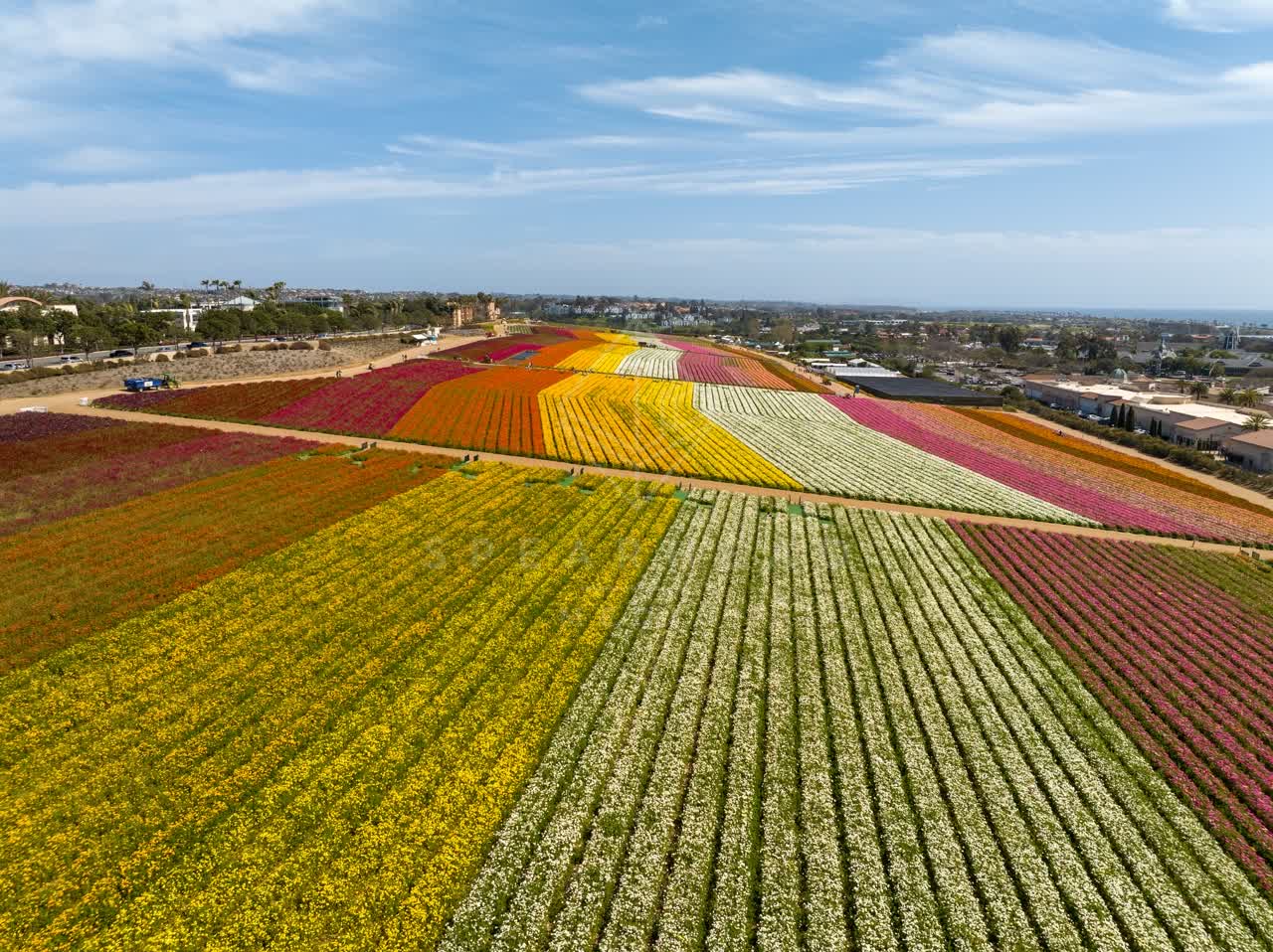 Aerial view of the country inland, homes and open country at Flower Fields.