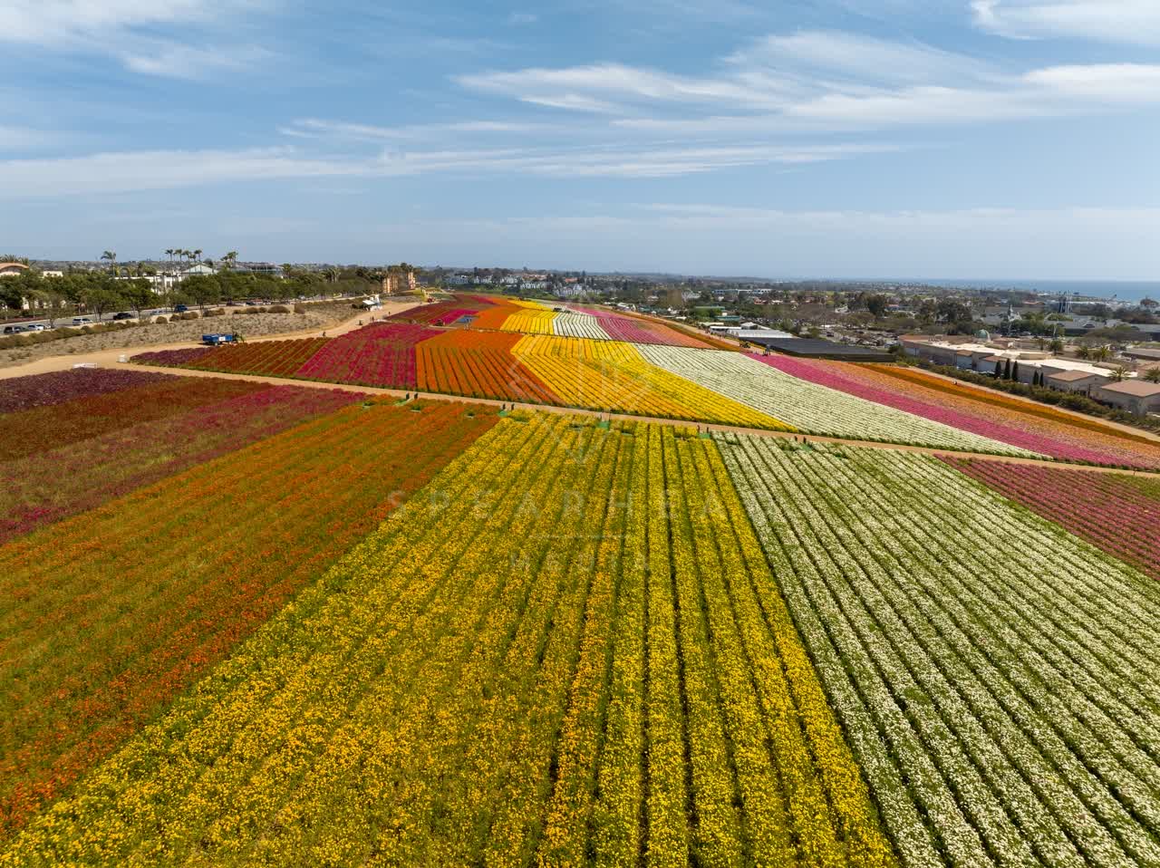 Aerial view of the country inland, homes and open country at Flower Fields.