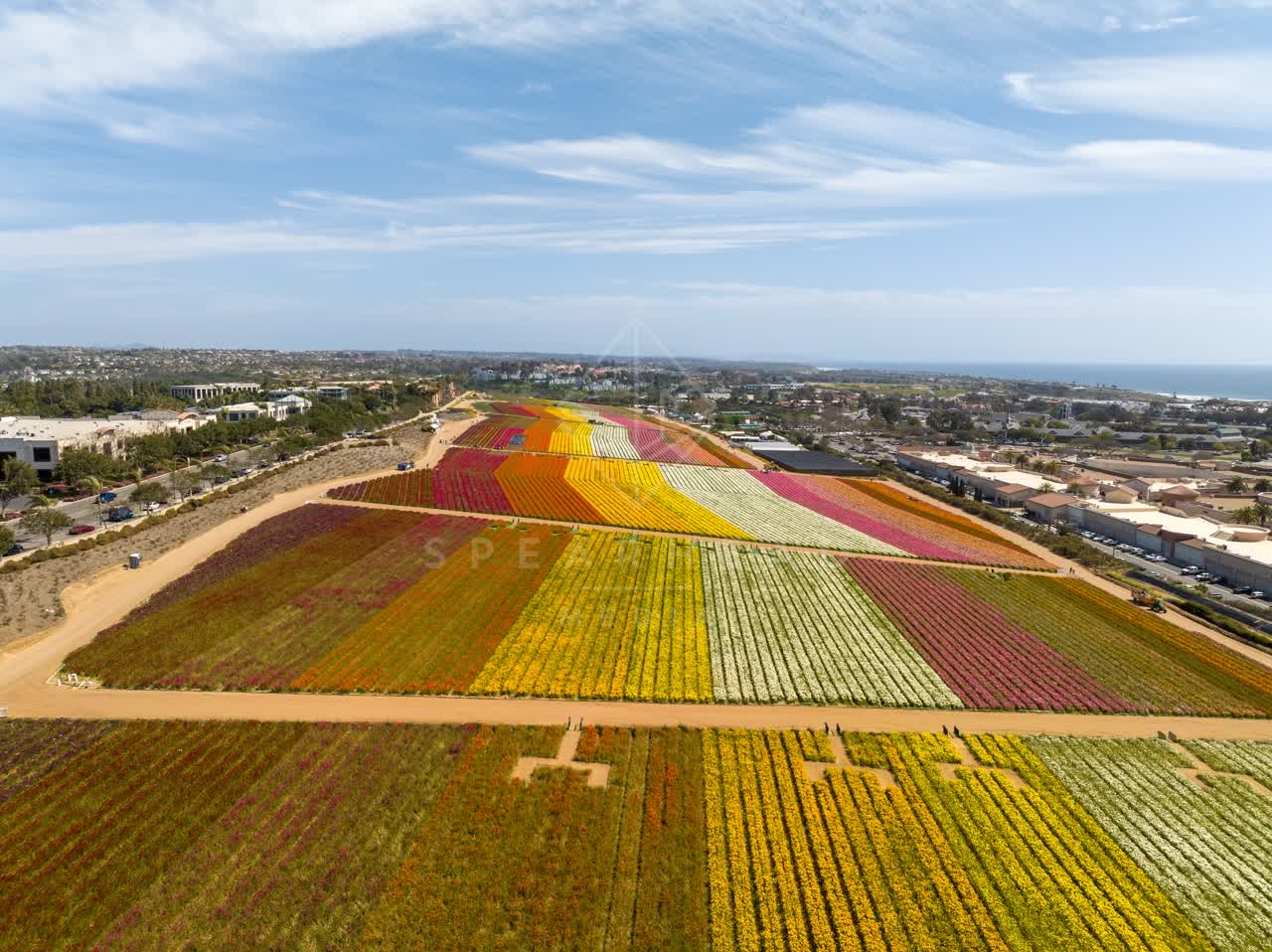 Aerial view of the country inland, the ocean and homes at Flower Fields.