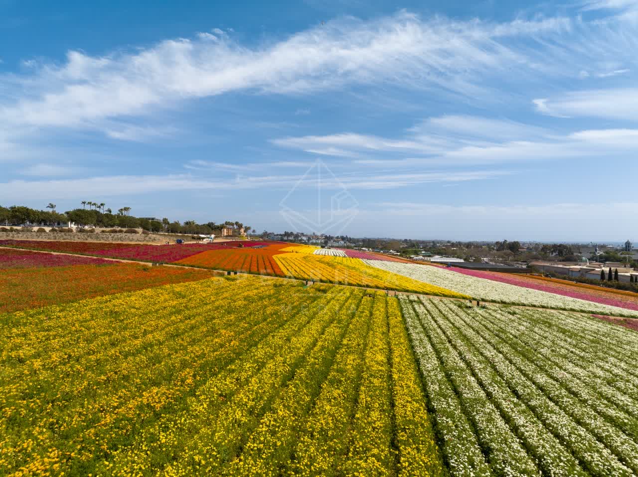 Aerial view of the country inland and open country at Flower Fields.