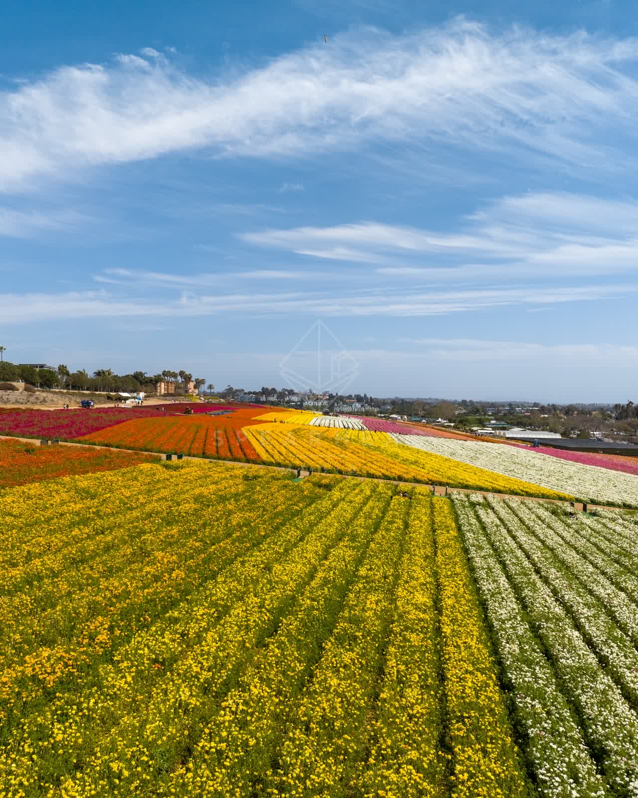Aerial view of the country inland and open country at Flower Fields.