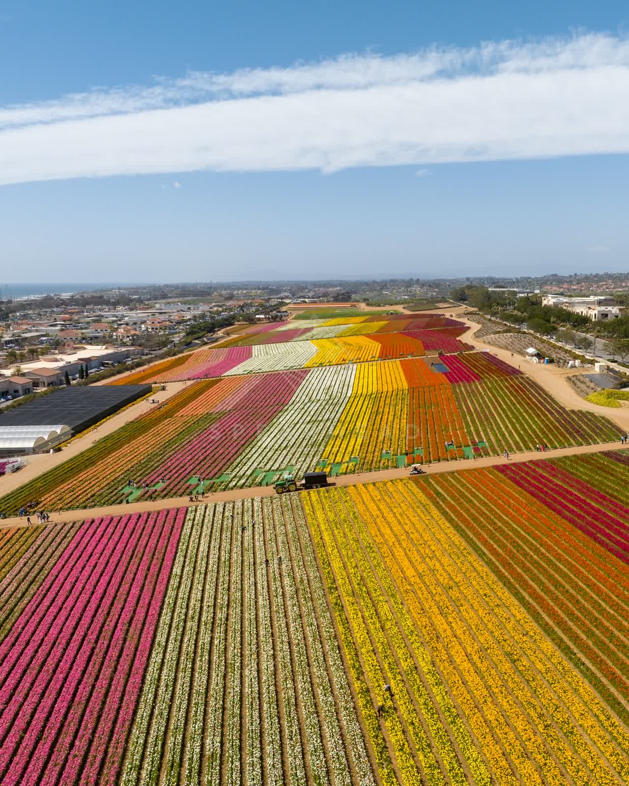 Aerial view of the country inland, homes and traffic at Flower Fields, with a work crew on site.