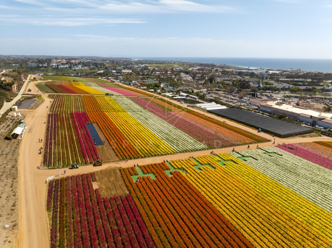 Aerial view of the country inland, the ocean and homes at Flower Fields, with a work crew on site.