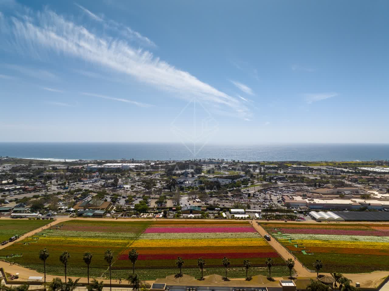 Aerial view of the country inland, palm trees and the ocean at Flower Fields.