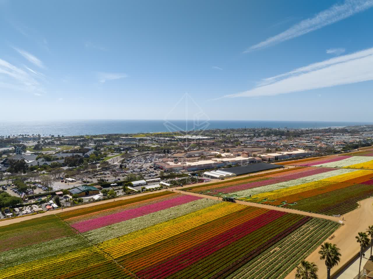 Aerial view of the country inland, the ocean and homes at Flower Fields.
