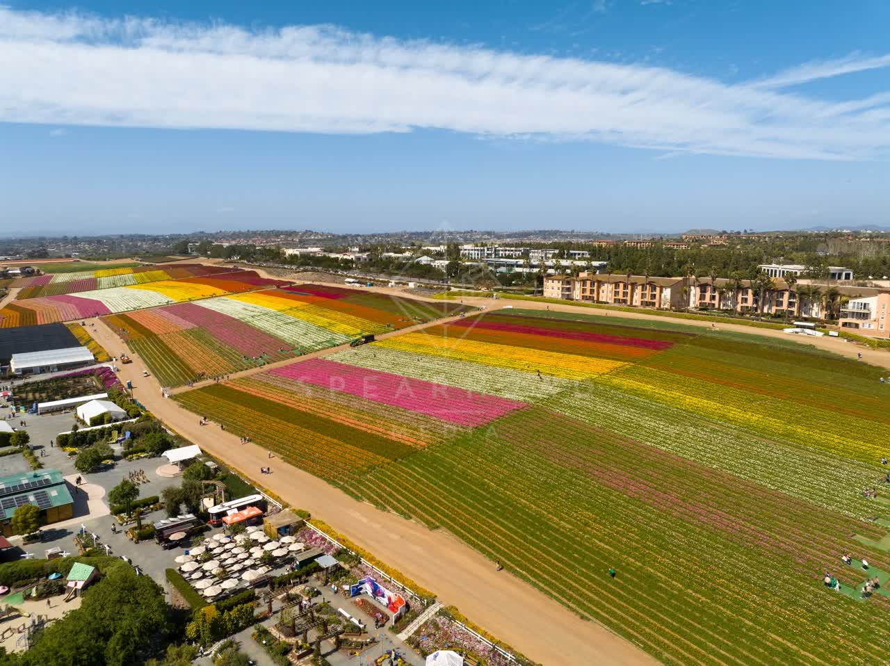 Aerial view of the country inland, homes and the buildings at Flower Fields, with people walking.