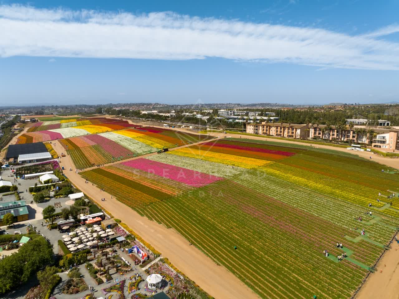 Aerial view of the country inland, homes and the buildings at Flower Fields, with people walking.