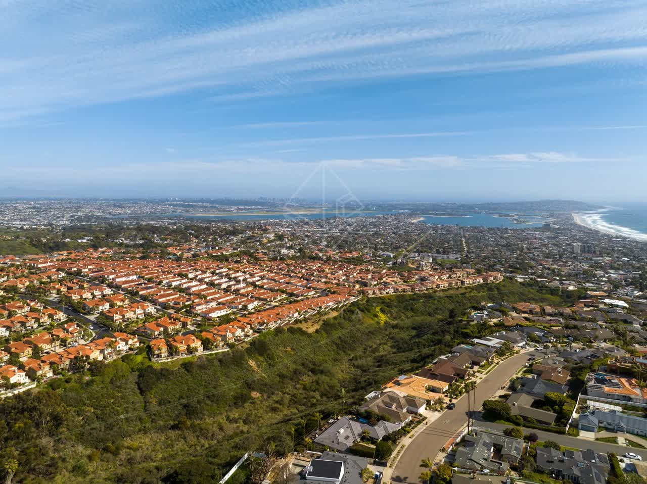 Aerial view of a residential street, palm trees and the ocean at La Jolla Alta.