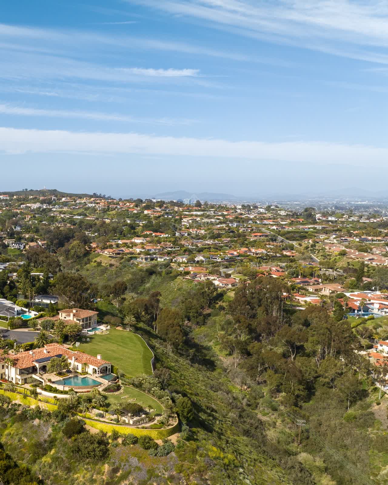 Aerial view of a residential street, palm trees and homes at La Jolla Mesa.